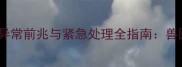 拉布拉多肠胃异常前兆与紧急处理全指南兽医建议收藏