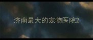 济南最大的宠物医院