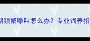 边境牧羊犬发情期频繁嚎叫怎么办专业饲养指南与应急处理全