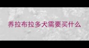 养拉布拉多犬需要买什么