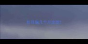 折耳猫几个月定型