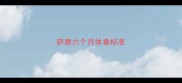 萨摩六个月体重标准