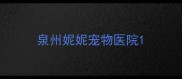 泉州妮妮宠物医院