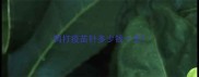 狗打疫苗针多少钱一支