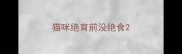 猫咪绝育前没绝食