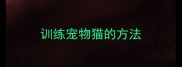 训练宠物猫的方法