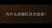 为什么给猫扎狂犬疫苗