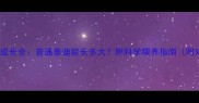 泰迪犬成长全普通泰迪能长多大附科学喂养指南附对比图