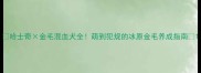 哈士奇金毛混血犬全萌到犯规的冰原金毛养成指南