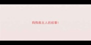 狗狗救主人的故事