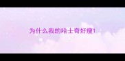 为什么我的哈士奇好瘦