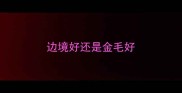 边境好还是金毛好