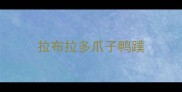 拉布拉多爪子鸭蹼