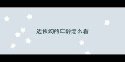 边牧狗的年龄怎么看