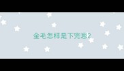 金毛怎样是下完崽