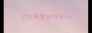 边牧需要拔耳毛吗