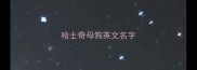 哈士奇母狗英文名字