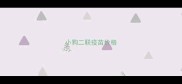 小狗二联疫苗价格