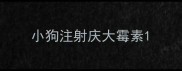 小狗注射庆大霉素