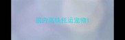 国内高铁托运宠物