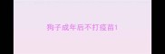 狗子成年后不打疫苗
