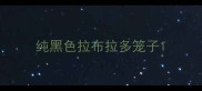 纯黑色拉布拉多笼子