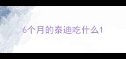 6个月的泰迪吃什么