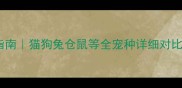 最新宠物价格避坑指南猫狗兔仓鼠等全宠种详细对比附真实饲养成本