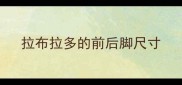 拉布拉多的前后脚尺寸