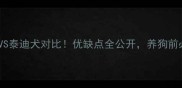 雪瑞纳犬VS泰迪犬对比优缺点全公开养狗前必看攻略