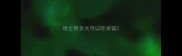 哈士奇多大可以吃米饭
