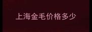上海金毛价格多少
