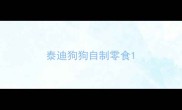 泰迪狗狗自制零食