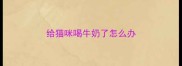 给猫咪喝牛奶了怎么办