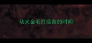幼犬金毛打疫苗的时间