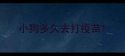 小狗多久去打疫苗