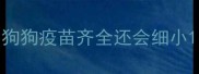 狗狗疫苗齐全还会细小