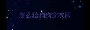 怎么给狗狗穿衣服