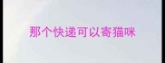 那个快递可以寄猫咪