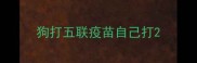 狗打五联疫苗自己打