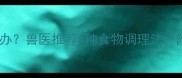 边牧拉肚子怎么办兽医推荐5种食物调理法附饮食禁忌清单