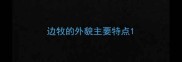 边牧的外貌主要特点
