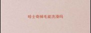 哈士奇掉毛能洗澡吗