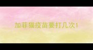 加菲猫疫苗要打几次