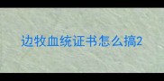 边牧血统证书怎么搞