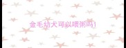 金毛幼犬可以喂粥吗