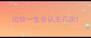 边牧一生会认主几次