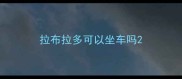 拉布拉多可以坐车吗