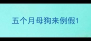 五个月母狗来例假