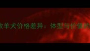 边境牧羊犬价格差异体型与价值的关系